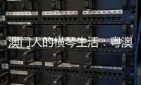 快排公司十年历程，霸屏兔 seo 的崛起与坚守