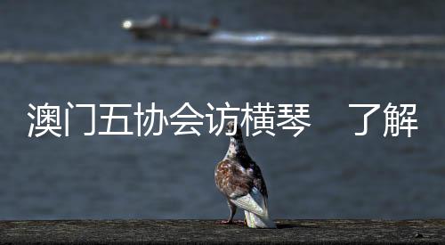 科技创新等优惠政策