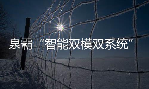 当用户选择智能模式时