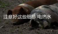 快排公司十年历程，霸屏兔 seo 的崛起与坚守