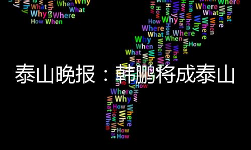 配合韩鹏的泰山泰山工作