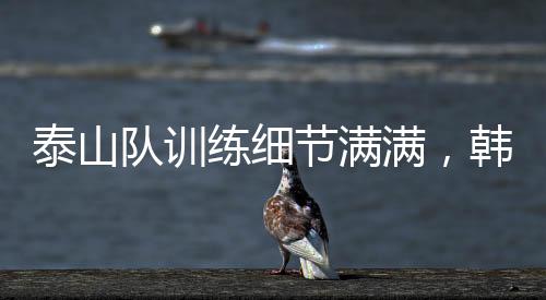 节满据新加队夏季转会窗口期