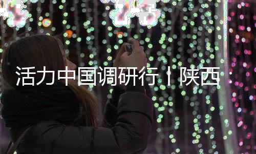 总装和试车等全部研发流程