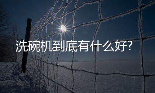 什好再洗机器的洗碗弊端
