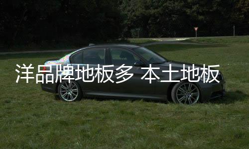将规模优势转化为产业优势