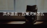 洪水退去，五常大米怎么样了？