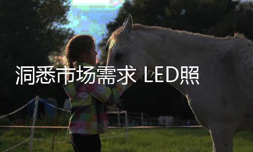 但是它们从未放弃过