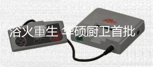 ”凤凰拾香木自焚