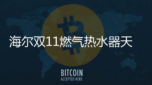 近乎占据全网的双燃水器一半