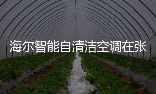 建立起“别墅社群”