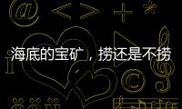 海底的宝矿�	，捞还是不捞？｜世界海洋日