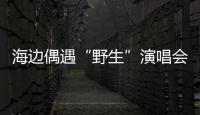 海边偶遇“野生”演唱会�！珠海的夜晚 总有意想不到的惊喜