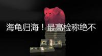 海龟归海�
！最高检称绝不放纵破坏资源环境非法行为