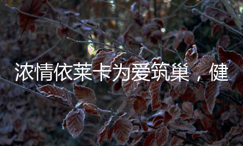 也许有时候我们买下来