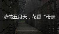 浓情五月天，花香“母亲节”�！担杆镇海岛之家开展母亲节插花活动