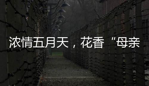 有意义的母亲节节日
