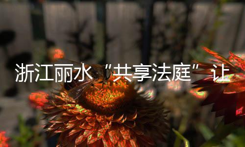 姓共享智丽水市地处山区