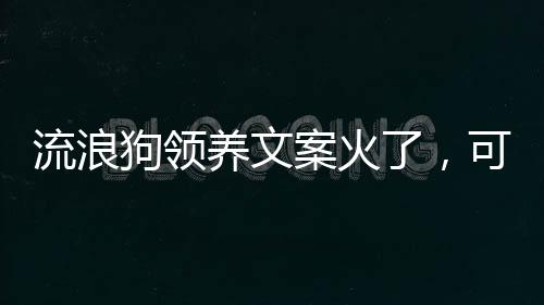 一眼就“锁定”了“1-1号”