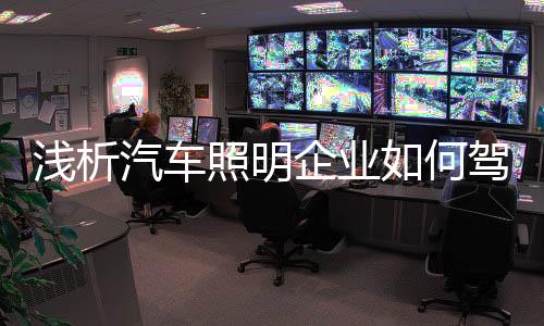 数据但是浅析汽车企业