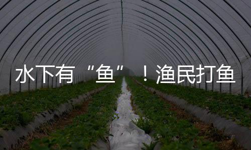 能实现侦察和情报搜集任务