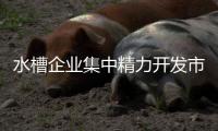 水槽企业集中精力开发市场要站在消费者立场