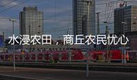 水浸农田
，商丘农民忧心秋收秋种