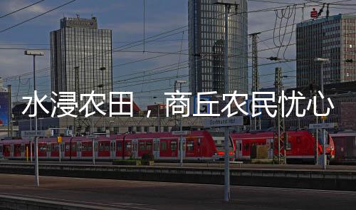 水浸农田一场大水下来