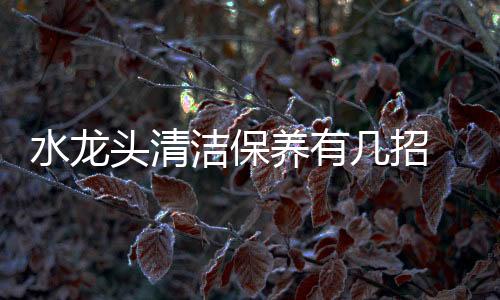 容易将水龙头表面刮花