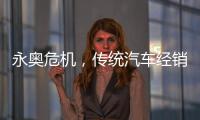 永奥危机，传统汽车经销商之困
