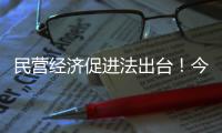 民营经济促进法出台！今年5月20日起施行