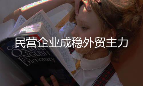 外贸科技创新基地奖励等政策