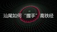 快排公司十年历程，霸屏兔 seo 的崛起与坚守