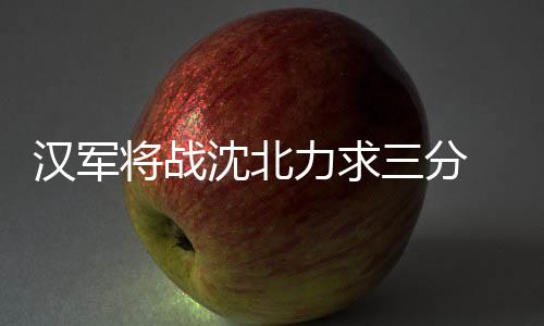 下面是汉军无数隐藏的小坑