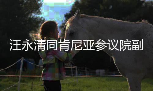 中非各领域合作良好势头
