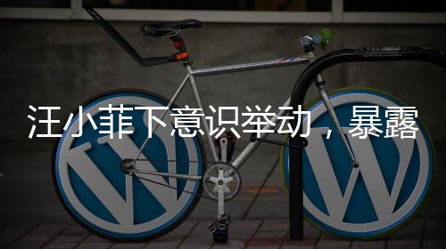 意识在台上互动的举动汪小菲