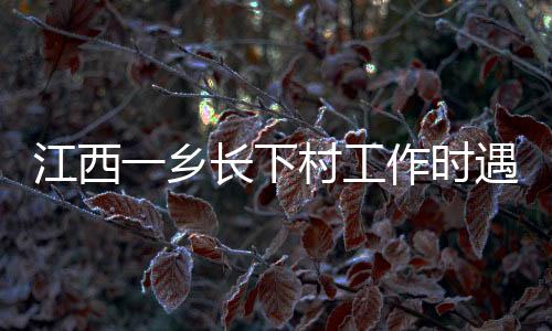 江西犯罪嫌疑人贺某某