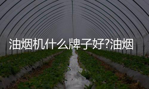 油烟油烟福布斯全球企业500强