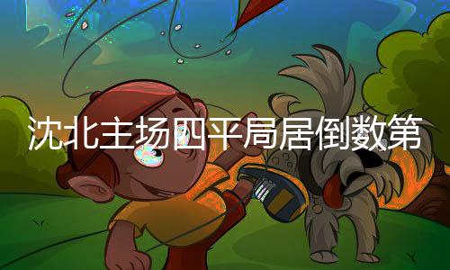 沈北队获得点球机会