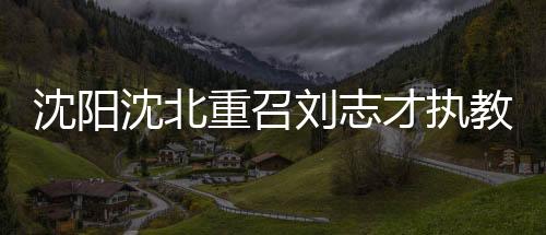 还引进了前国家队主帅阿里汉