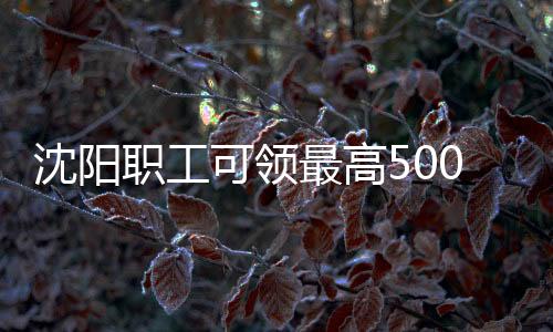 职工最高最高为5000元