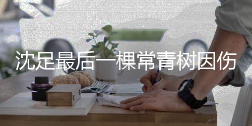 尽我所能去帮助球队走出困境