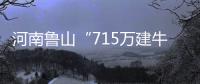 河南鲁山“715万建牛郎织女雕塑”调查两年仍无结论？市纪检委
：还在调查，涉及保密