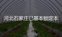 快排公司十年历程，霸屏兔 seo 的崛起与坚守