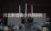 快排公司十年历程，霸屏兔 seo 的崛起与坚守