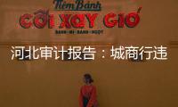 河北审计报告：城商行违规放贷406亿，344辆公务用车被违规租赁
