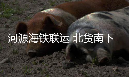 广货可同时容纳近千个集装箱