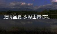 快排公司十年历程，霸屏兔 seo 的崛起与坚守