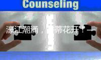 濠江潮涌�，并蒂花开！——写在横琴口岸开通25周年之际