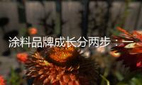 涂料品牌成长分两步：一是产品，二是营销