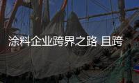 涂料企业跨界之路 且跨且思量